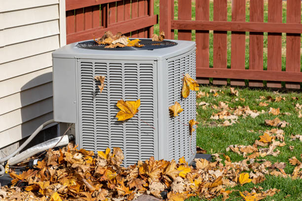 Best HVAC maintenance near me  in Kenedy, TX